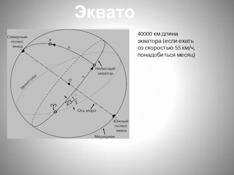 Экватор 40000 км длина экватора (если ехать со скоростью 55 км/ч, понадобиться месяц)