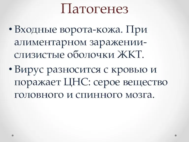 Патогенез Входные ворота-кожа. При алиментарном заражении-слизистые оболочки ЖКТ. Вирус разносится с кровью