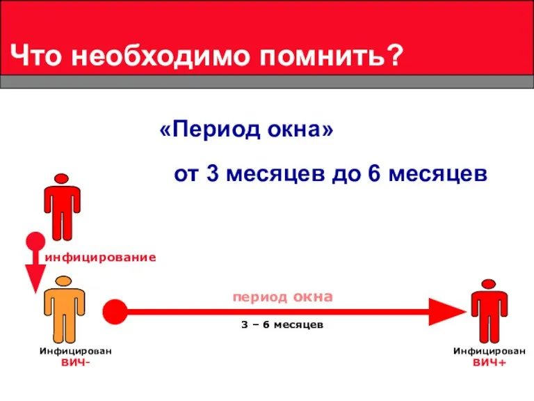 Что необходимо помнить? «Период окна» от 3 месяцев до 6 месяцев период