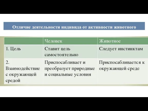 Отличие деятельности индивида от активности животного