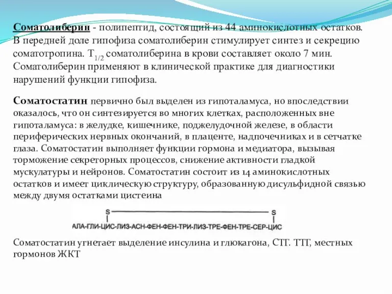 Соматолиберин - полипептид, состоящий из 44 аминокислотных остатков. В передней доле гипофиза