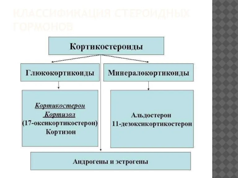 КЛАССИФИКАЦИЯ СТЕРОИДНЫХ ГОРМОНОВ