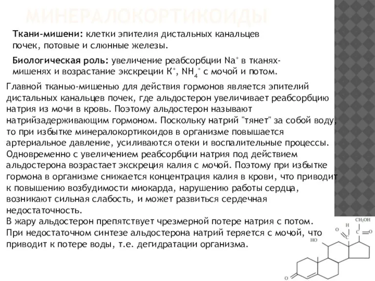 МИНЕРАЛОКОРТИКОИДЫ Ткани-мишени: клетки эпителия дистальных канальцев почек, потовые и слюнные железы. Биологическая