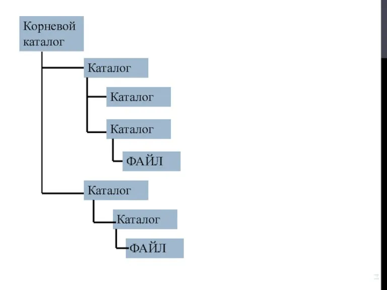 Корневой каталог Каталог Каталог Каталог ФАЙЛ Каталог Каталог ФАЙЛ