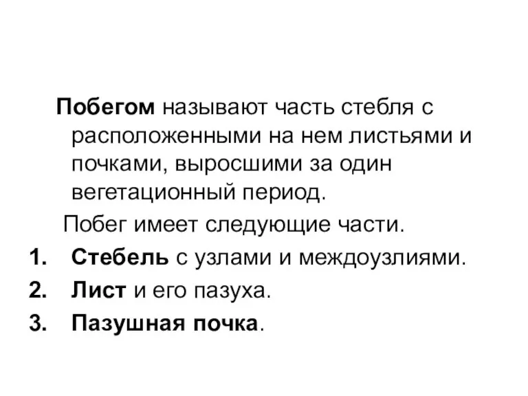 Побегом называют часть стебля с расположенными на нем листьями и почками, выросшими