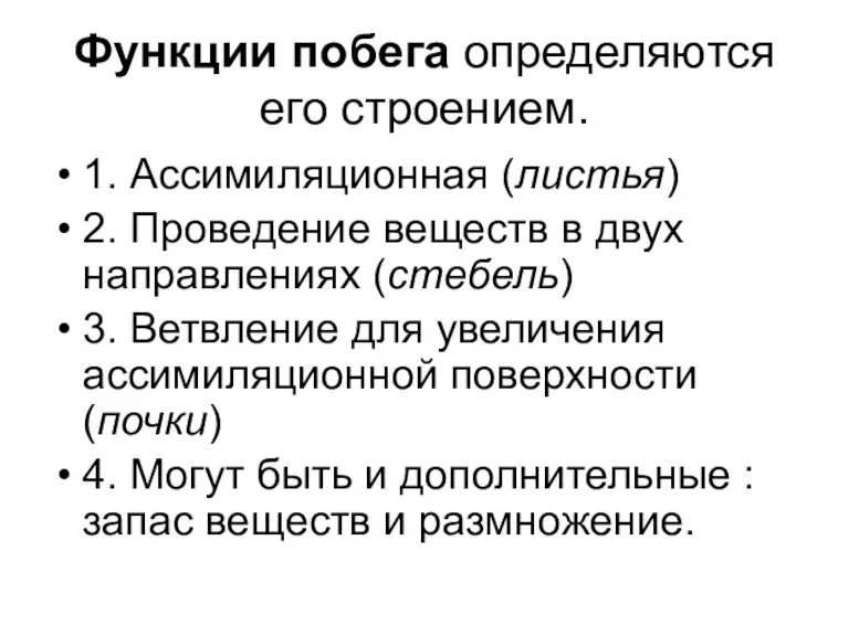 Функции побега определяются его строением. 1. Ассимиляционная (листья) 2. Проведение веществ в