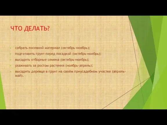 ЧТО ДЕЛАТЬ? собрать посевной материал (октябрь-ноябрь); подготовить грунт перед посадкой (октябрь-ноябрь); высадить