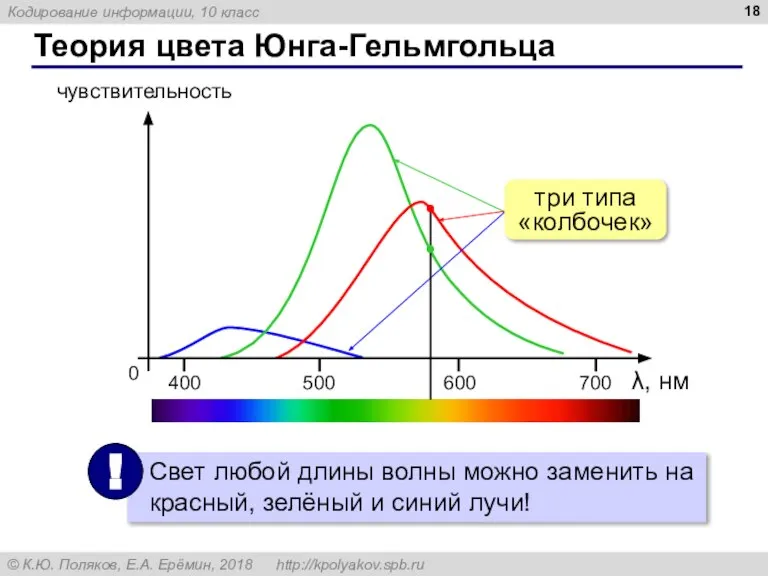 Теория цвета Юнга-Гельмгольца