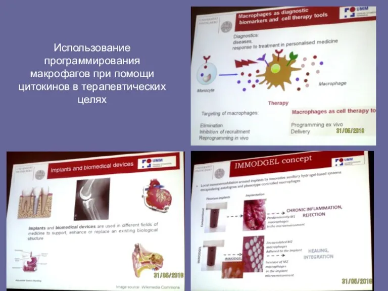 Использование программирования макрофагов при помощи цитокинов в терапевтических целях