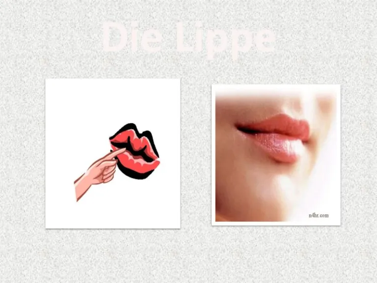 Die Lippe