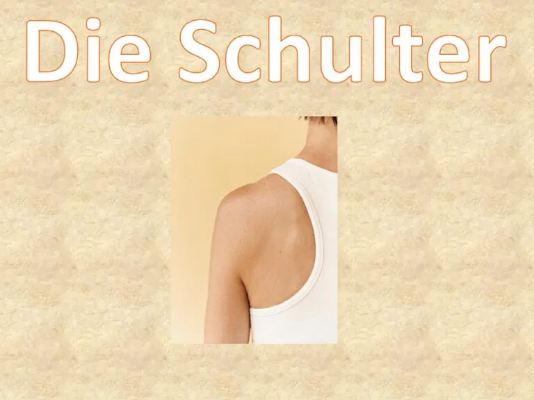 Die Schulter