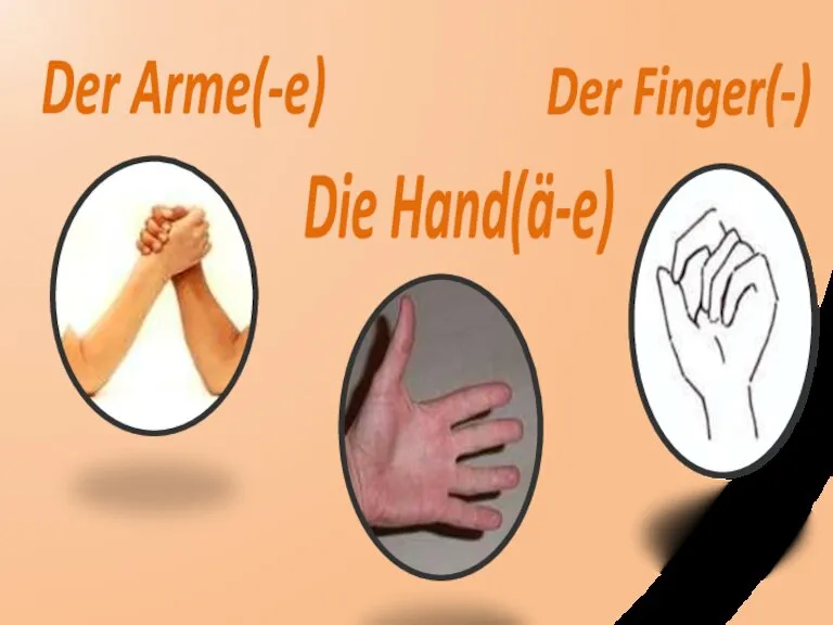 Der Arme(-e) Die Hand(ä-e) Der Finger(-)
