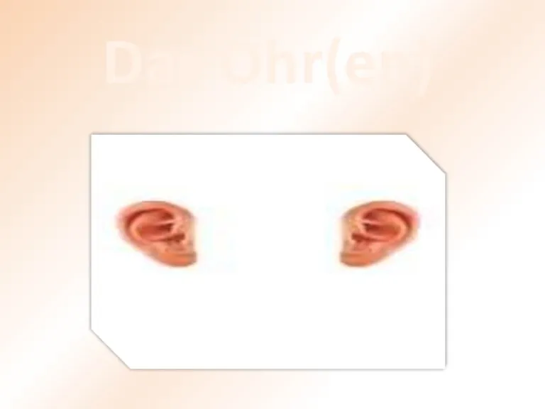 Das Ohr(en)