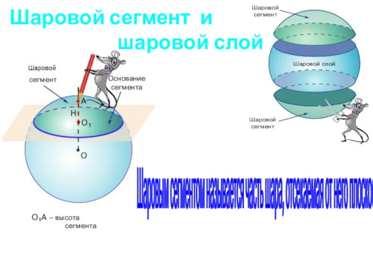 Шаровой сегмент и шаровой слой Шаровым сегментом называется часть шара, отсекаемая от него плоскостью