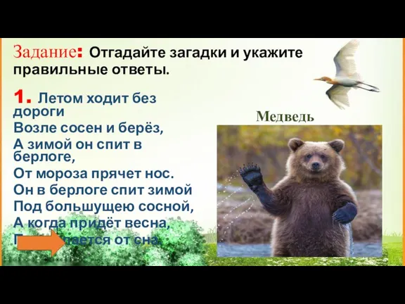 Задание: Отгадайте загадки и укажите правильные ответы. 1. Летом ходит без дороги