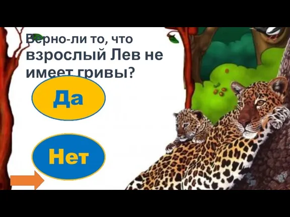 Верно-ли то, что взрослый Лев не имеет гривы?