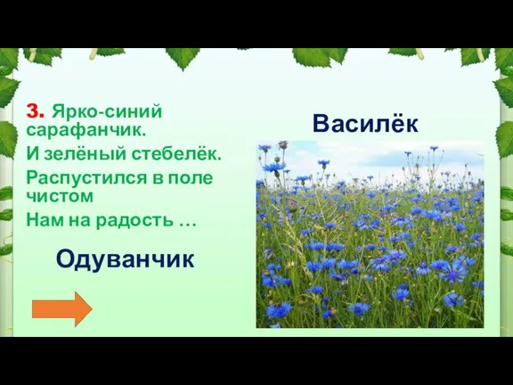 3. Ярко-синий сарафанчик. И зелёный стебелёк. Распустился в поле чистом Нам на