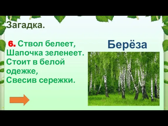 Загадка. 6. Ствол белеет, Шапочка зеленеет. Стоит в белой одежке, Свесив сережки. Берёза Ива Осина