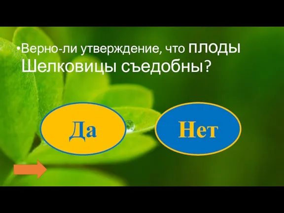 Верно-ли утверждение, что плоды Шелковицы съедобны? Нет Да