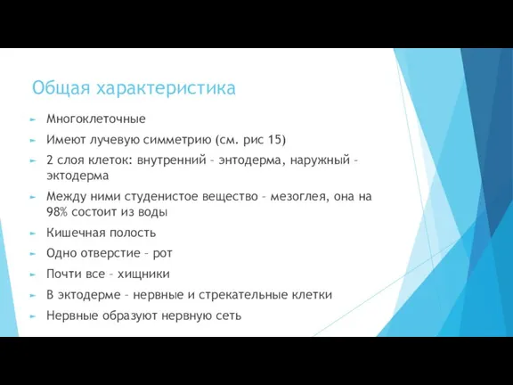 Общая характеристика Многоклеточные Имеют лучевую симметрию (см. рис 15) 2 слоя клеток: