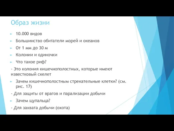 Образ жизни 10.000 видов Большинство обитатели морей и океанов От 1 мм