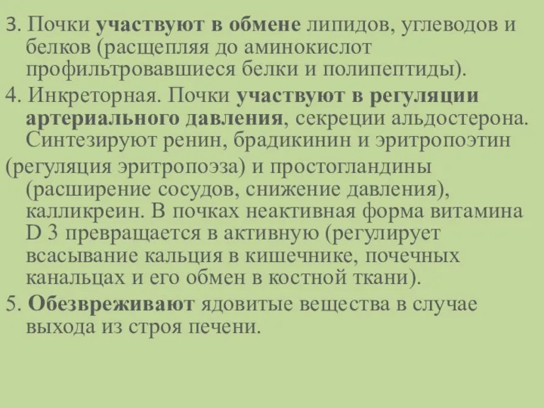 3. Почки участвуют в обмене липидов, углеводов и белков (расщепляя до аминокислот