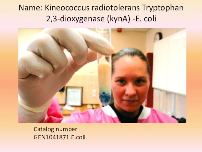 Name: Kineococcus radiotolerans Tryptophan 2,3-dioxygenase (kynA) -E. coli Catalog number GEN1041871.E.coli Size 1000ug Price 1835 €