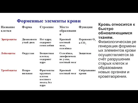 Кровь относится к быстро обновляющимся тканям. Физиологическая регенерация форменных элементов крови осуществляется