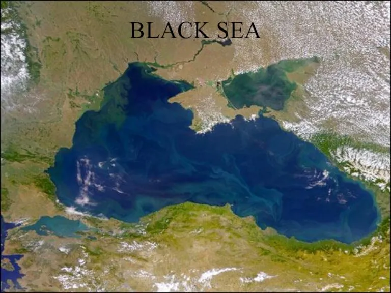 BLACK SEA