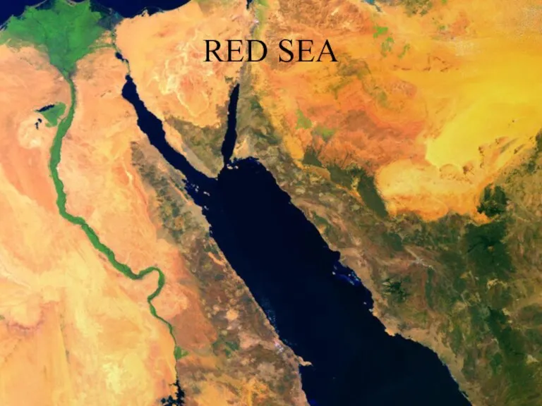 RED SEA