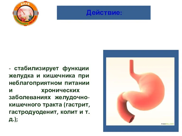 Действие: - стабилизирует функции желудка и кишечника при неблагоприятном питании и хронических