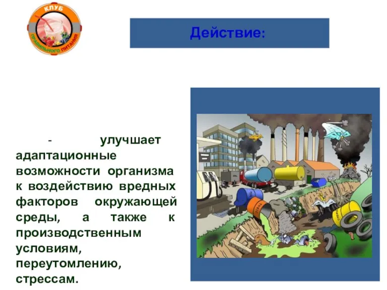 Действие: - улучшает адаптационные возможности организма к воздействию вредных факторов окружающей среды,