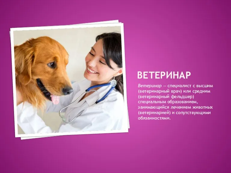 ВЕТЕРИНАР Ветеринар — специалист с высшим (ветеринарный врач) или средним (ветеринарный фельдшер)