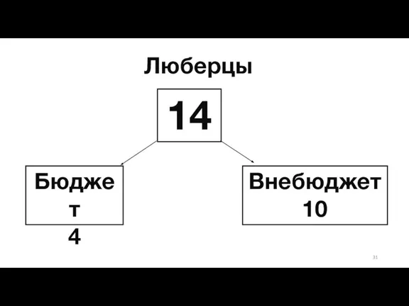 Люберцы Бюджет 4 14 Внебюджет 10