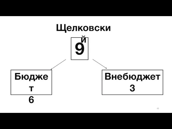 Щелковский Бюджет 6 9 Внебюджет 3