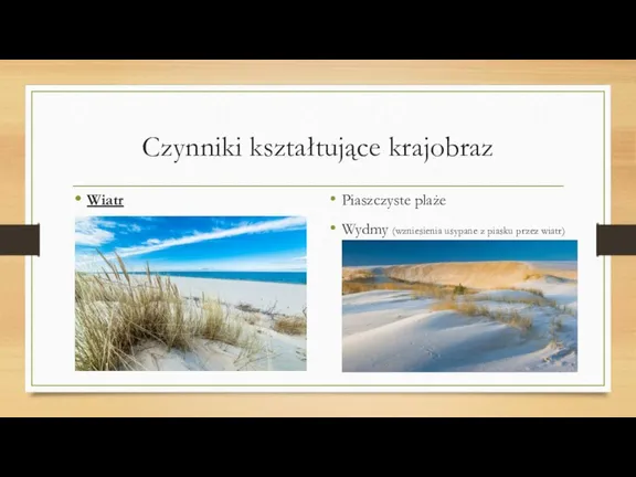 Czynniki kształtujące krajobraz Wiatr Piaszczyste plaże Wydmy (wzniesienia usypane z piasku przez wiatr)