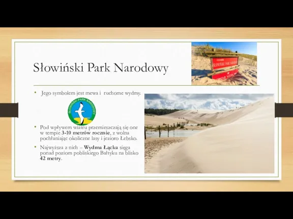Słowiński Park Narodowy Jego symbolem jest mewa i ruchome wydmy. Pod wpływem