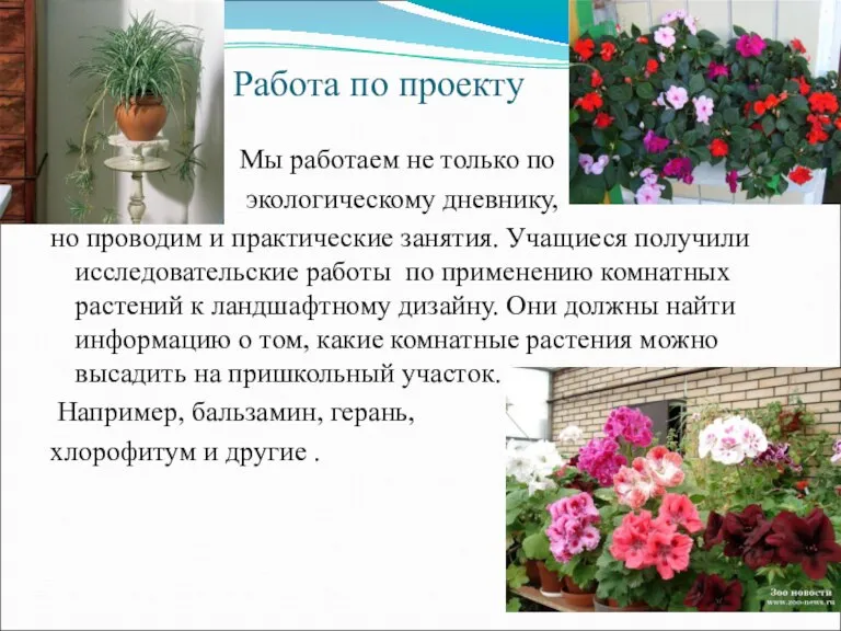 Работа по проекту Мы работаем не только по экологическому дневнику, но проводим