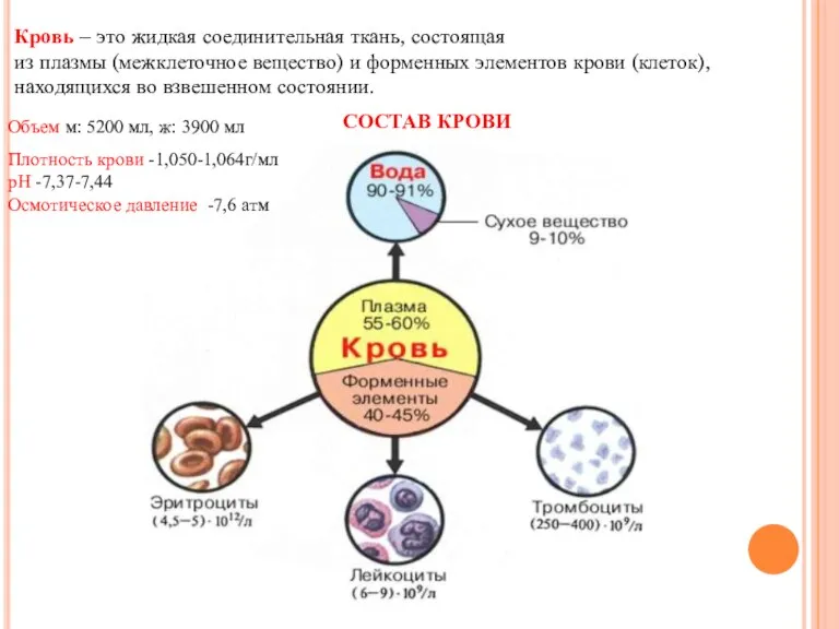 Кровь – это жидкая соединительная ткань, состоящая из плазмы (межклеточное вещество) и