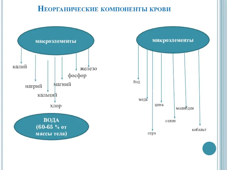 Неорганические компоненты крови макроэлементы микроэлементы калий натрий кальций магний фосфор железо йод