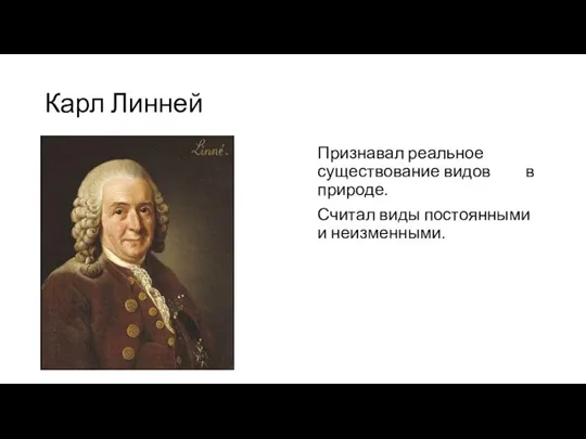 Карл Линней Признавал реальное существование видов в природе. Считал виды постоянными и неизменными.