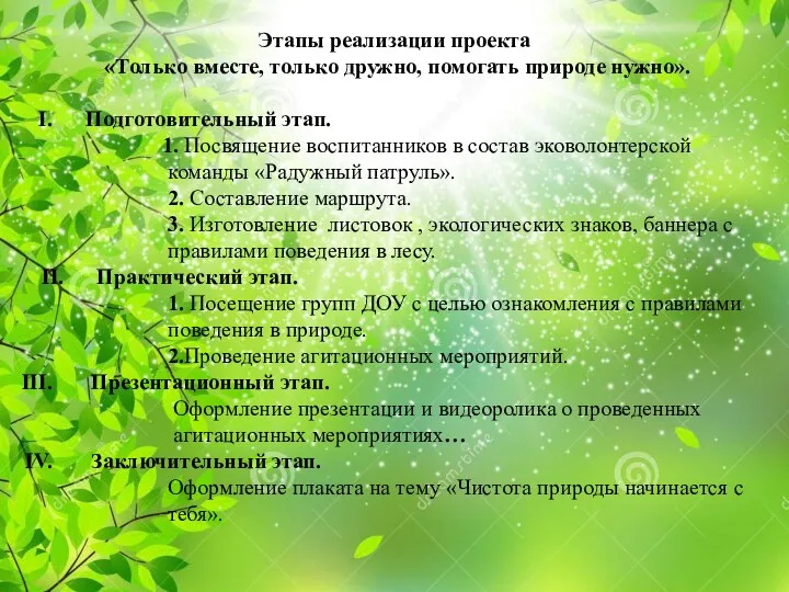 Этапы реализации проекта «Только вместе, только дружно, помогать природе нужно». Подготовительный этап.