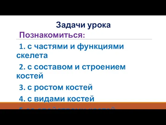 Задачи урока Познакомиться: 1. с частями и функциями скелета 2. с составом