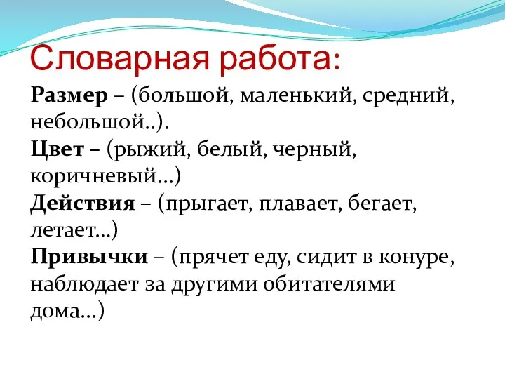 Словарная работа: Размер – (большой, маленький, средний, небольшой..). Цвет – (рыжий, белый,