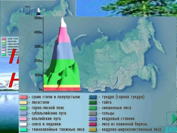 III ТУР: НАВИГАТОР