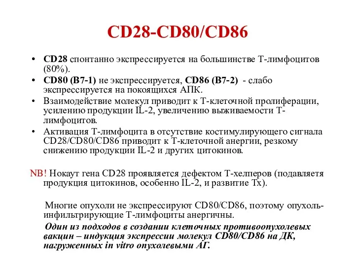 CD28-CD80/CD86 CD28 спонтанно экспрессируется на большинстве Т-лимфоцитов (80%). CD80 (B7-1) не экспрессируется,