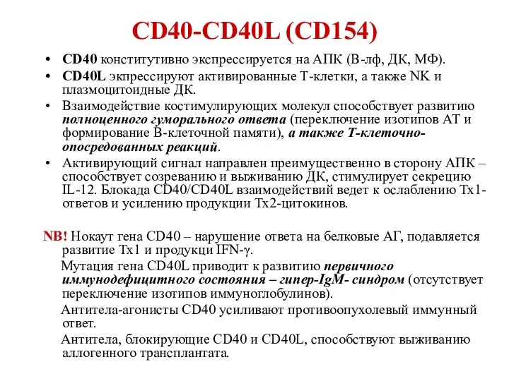 СD40-CD40L (CD154) CD40 конститутивно экспрессируется на АПК (В-лф, ДК, МФ). CD40L экпрессируют