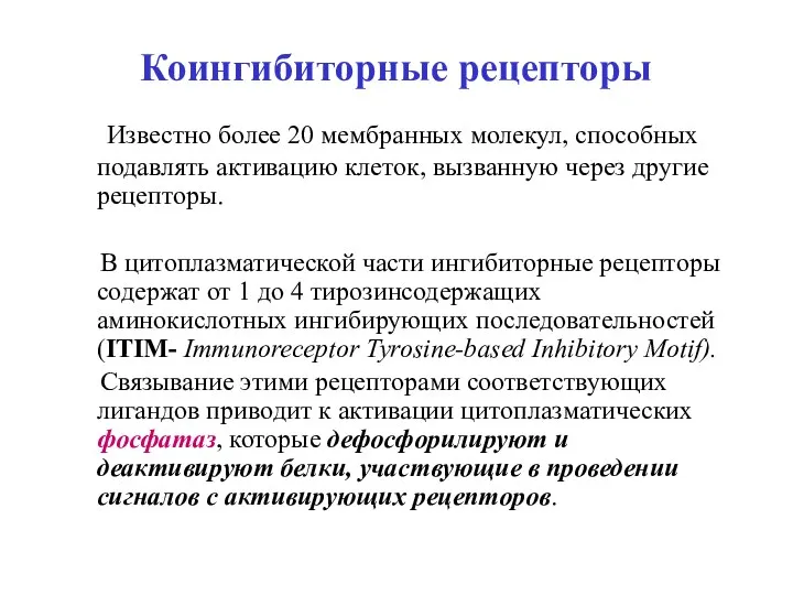 Коингибиторные рецепторы Известно более 20 мембранных молекул, способных подавлять активацию клеток, вызванную