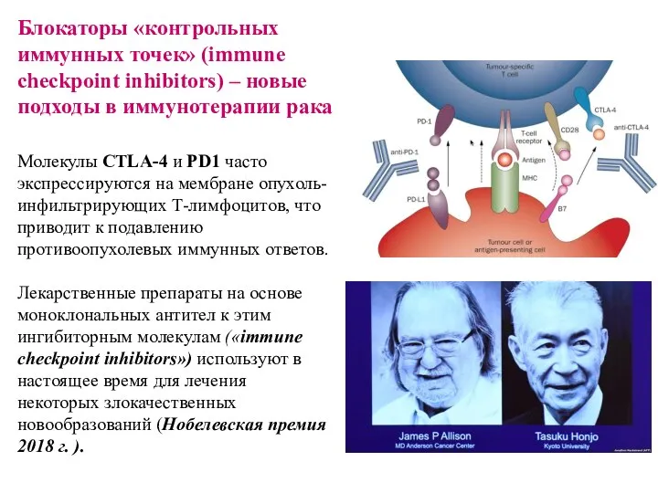 Блокаторы «контрольных иммунных точек» (immune checkpoint inhibitors) – новые подходы в иммунотерапии