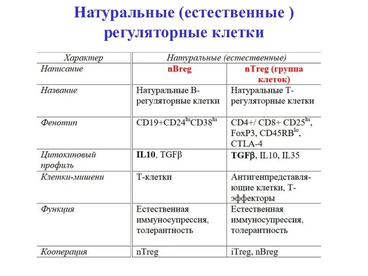 Натуральные (естественные ) регуляторные клетки  Климов В.В.  Климов В.В.